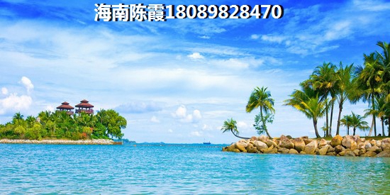 少林十大禪宗歌曲大全
