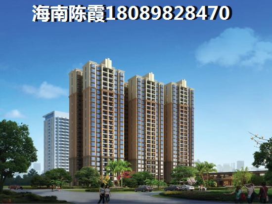 貓是夜行動(dòng)物嗎